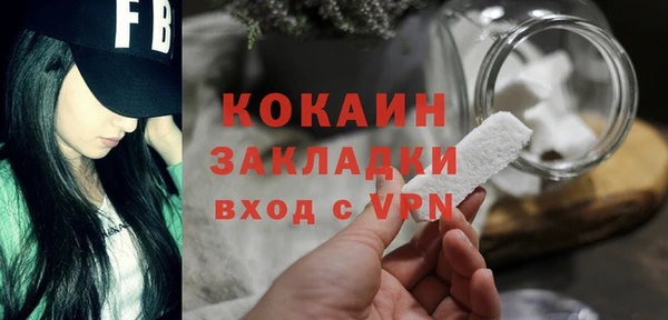 стаф Аркадак