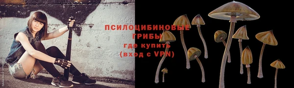 а пвп мука Балахна