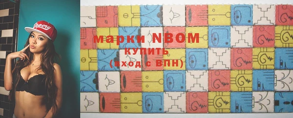 стаф Аркадак