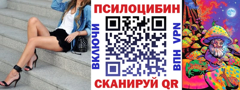 мега рабочий сайт  Ельня  Галлюциногенные грибы Psilocybe 